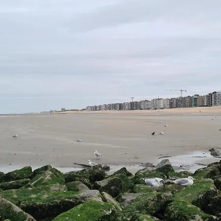 Appartement Near Dunes And Sea Coxyde