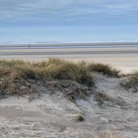 Near Dunes And Sea