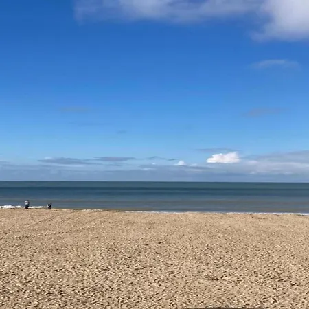 Appartement Near Dunes And Sea Coxyde